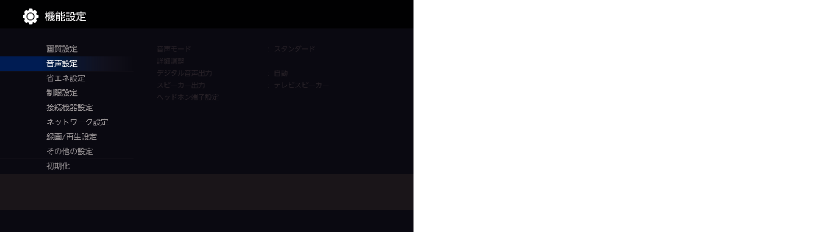 OSD_Audio setting